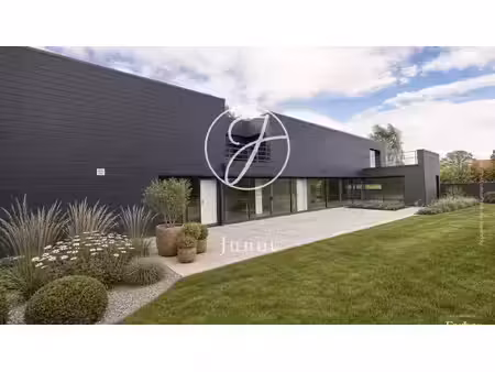 maison bourghelles - 5 chambres - 268m²