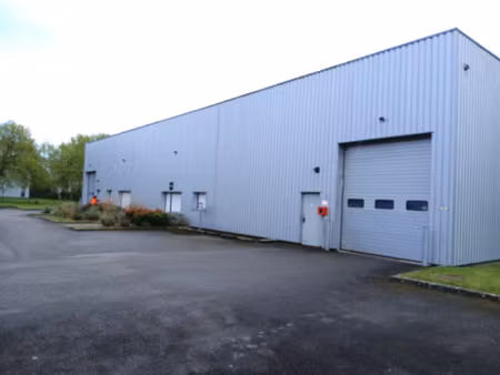 49 ombrée d'anjou  locaux d'activité 600 m2 à louer