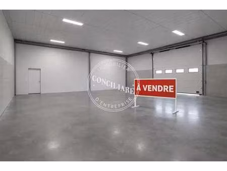 vente local d’activités muret 31600 125m² à 748m²