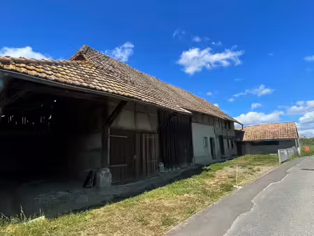 traubach le bas : maison alsacienne avec dépendance