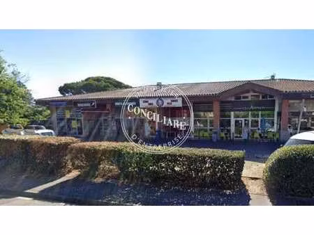 vente commerce toulouse 31100 310m²