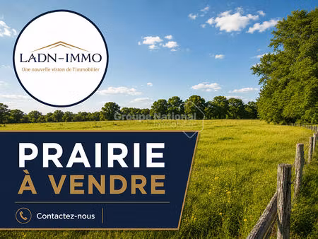 parcelle de pré 1h80a25ca