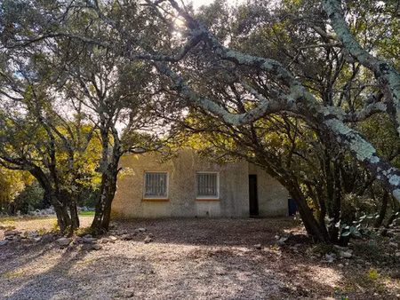 maison de plain pied sur un beau terrain arboré et naturel