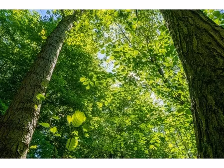 terrain à vendre de 964 00 m² boult sur suippe (51)