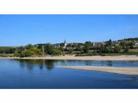 maison à vendre pouilly sur loire 10 pièce(s) 200m2 40 000€