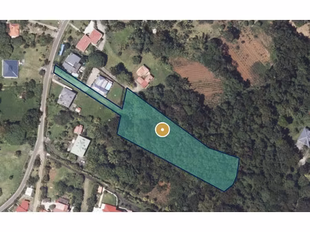 vente terrain route de grande savane 97170 petit bourg