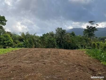 terrain 2 004 m² le morne rouge