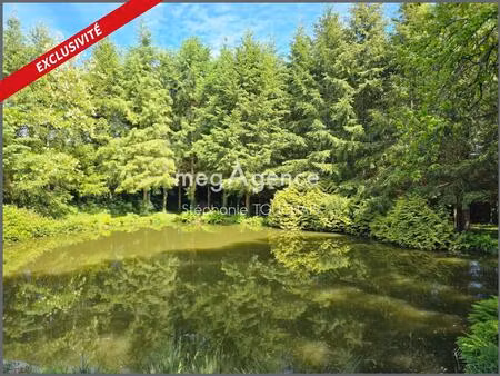 propriété d’exception au cœur de la nature sur 3 ha – saint-mars-sur-la-futaie