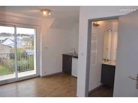 appart. t1 bis  30m²  rénové  tout confort