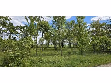 terrain de loisirs de 1 290 m² à cramoisy