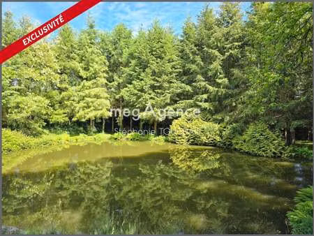 vente terrain à saint-mars-sur-la-futaie (53220) : à vendre / 30695m² saint-mars-sur-la-fu