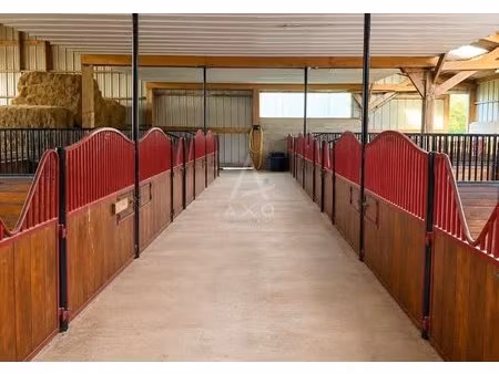 haras / equestre