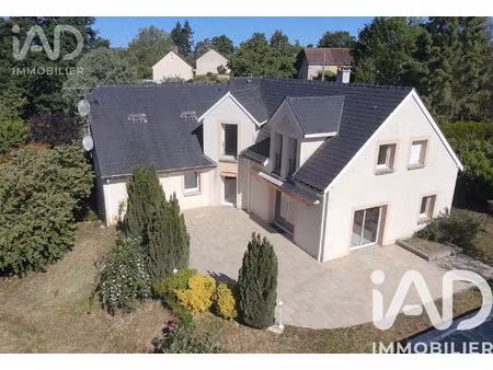 vente maison/villa 10 pièces