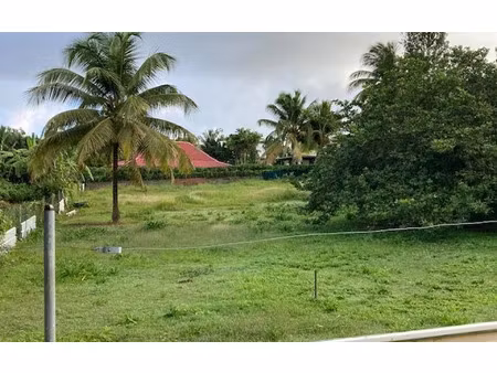 terrain baie-mahault m² t- à vendre  270 000 €