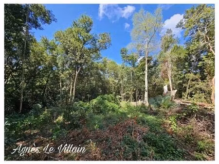 terrain à vendre