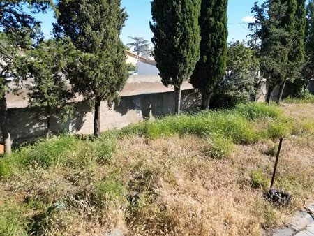 terrain constructible