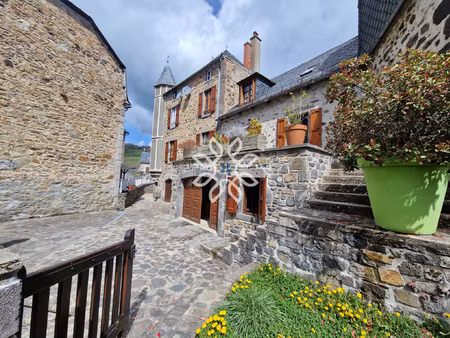 achat maison 11 pièces 260m² peyrusse 15170