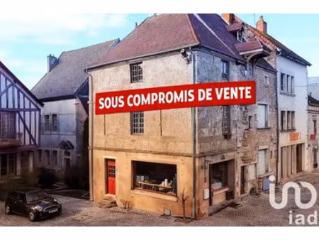 immeuble à nolay (21340)