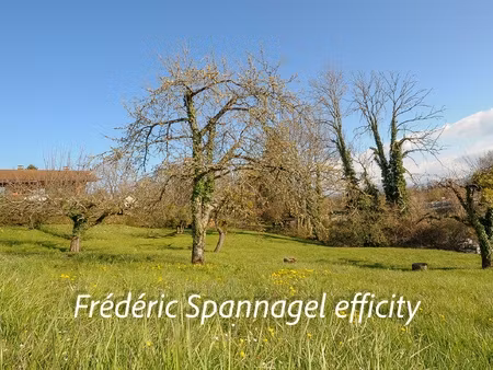 terrain - 718 m²