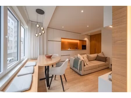stijlvol gerenoveerd appartement met zeezicht nabij het heldenplein