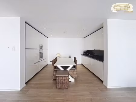 gerenoveerd energiezuinig appartement met groot terras!