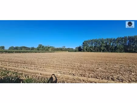 landbouwgrond gelegen te viane