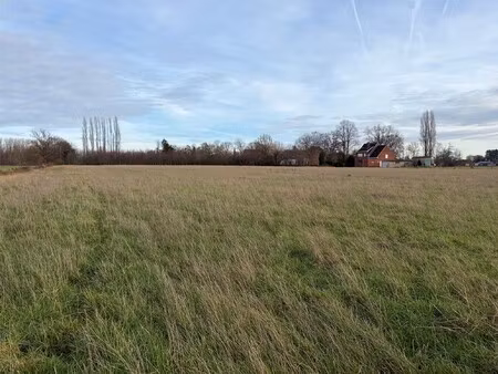 landbouwgrond