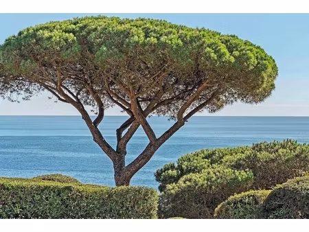 annonce maison à vendre
