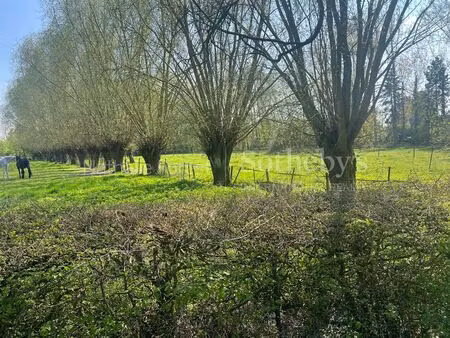 achat maison 10 pièces 300m² villeneuve d ascq 59650