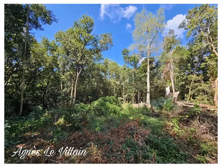 terrain à vendre bouillante 3123m2 199 000€