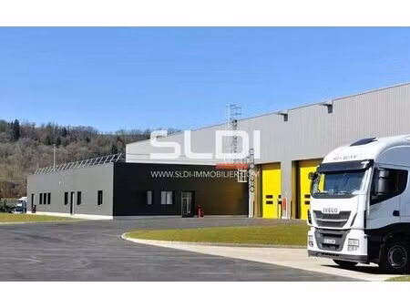 vente local d’activités corbas 69960 4000m²