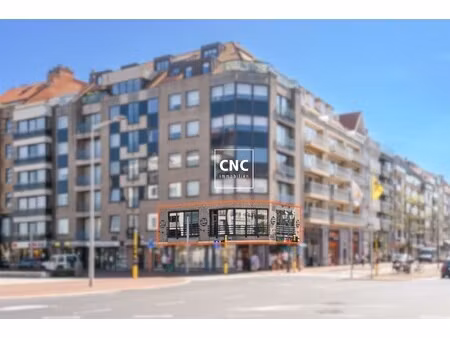 goed draaiende horecazaak op centrale en commerciële ligging