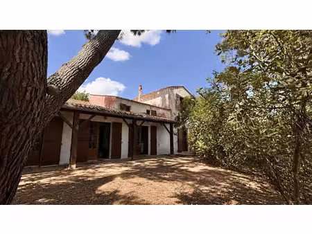 vente maison saint-palais-sur-mer (17420) - - surface privée