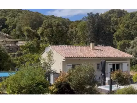 sartène (20100)
