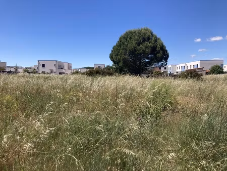 terrain - 356 m²