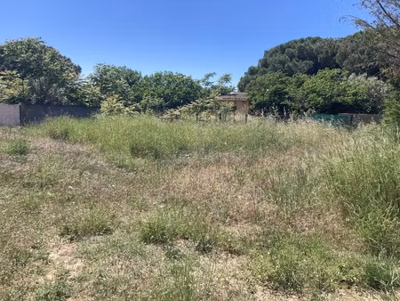 terrain - 764 m²