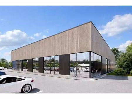 location commerce theix noyalo 56450 700m²