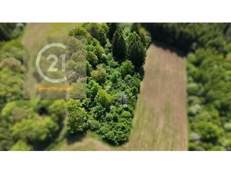 terrain agricole à vendre de 6200 m² à nassogne (vbe21615)