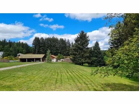 entre saint pal de mons et saint romain lachalm 43620 ensemble immobilier 700m² de bâtimen