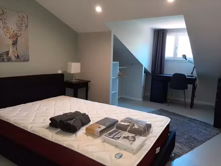 location appartement 1 pièce 13 m² à lyon 7 (69007)