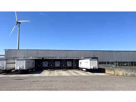 entrepôt logistique à louer à hoogveld à dendermonde