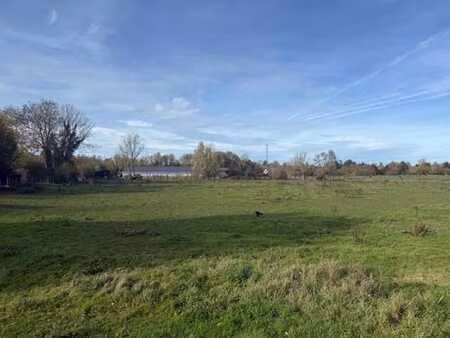 magnifique terrain  lotissable en plusieurs parcelles  idéal