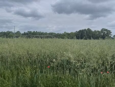 propriété de loisirs à vendre