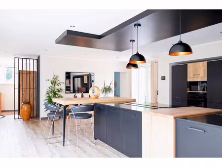 vente maison 8 pièces 320 m² dompierre-sur-veyle (01240)
