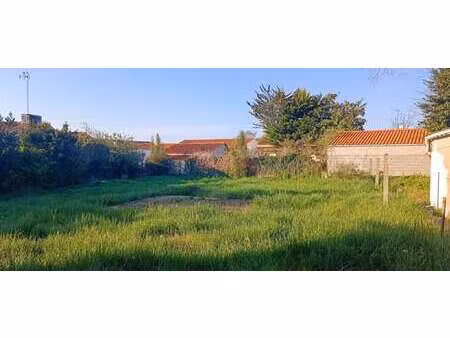 vente terrain à vairé (85150) : à vendre / vairé