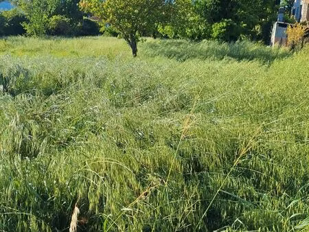 location terrain 2300 m2