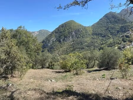 terrain 1587 m² malaussène