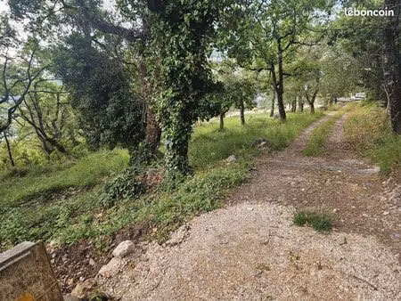 terrain agricol