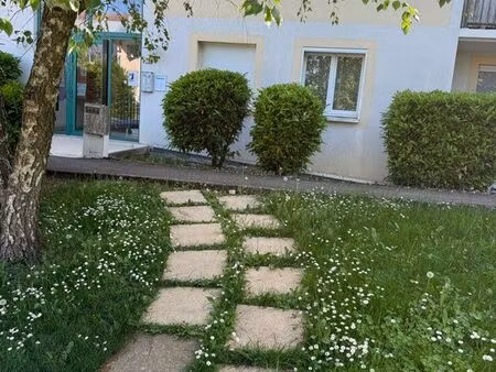 location appartement t3