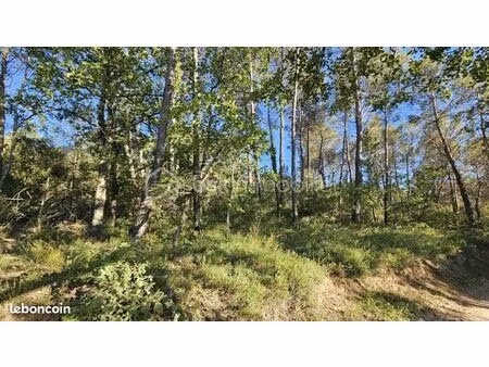 terrain 8 430 m² entrecasteaux